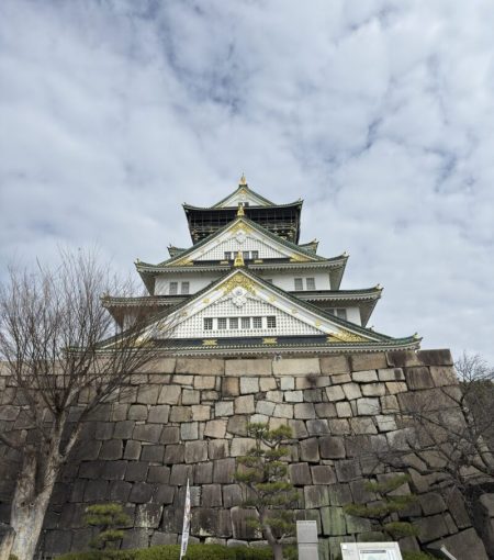 la imagen muestra el castillo de Osaka