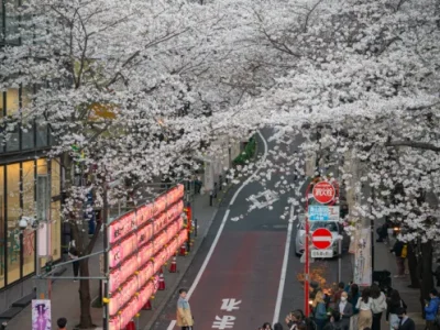 La masificación de las principales ciudades de Japón